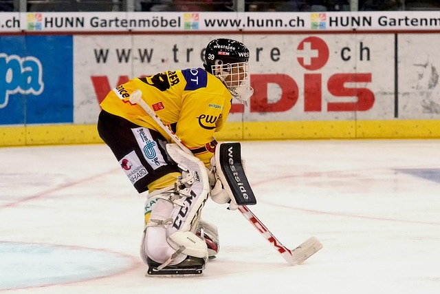 Ein Eishockeyspiel als Höhepunkt der Städtereise erleben